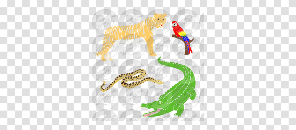 Jungle Animals Stencil For Classroom Therapy Use Great Illustration, Reptile, Lizard, Gecko, Crocodile Transparent Png