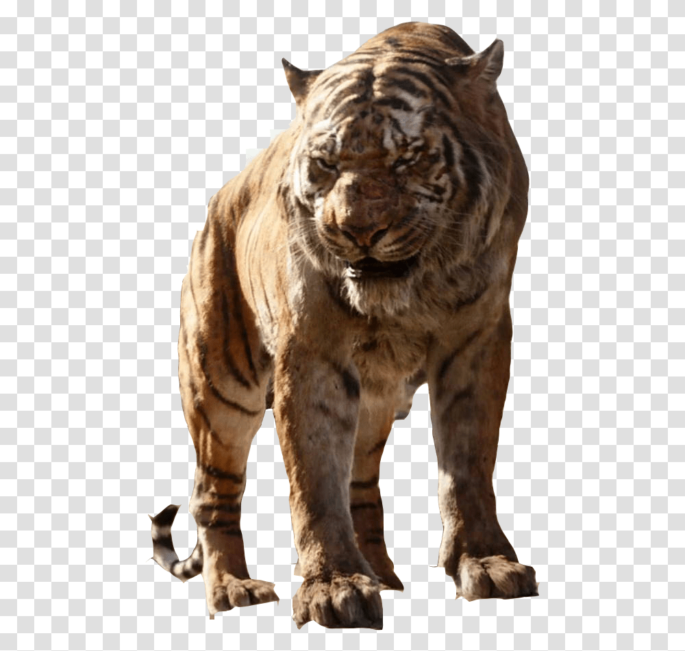 Jungle Book 2016 Disneyscreencaps Shere Khan, Tiger, Wildlife, Mammal, Animal Transparent Png