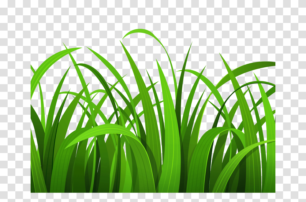Jungle Border Clip Art Black And White, Plant, Green, Grass, Lawn Transparent Png
