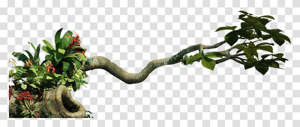 Jungle Clipart Rainforest Canopy Jungle Vines Background, Reptile, Animal, Snake, Dinosaur Transparent Png