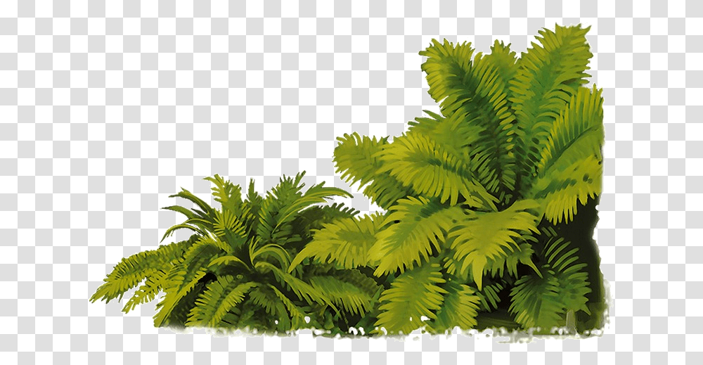 Jungle Download, Plant, Vegetation, Fern, Green Transparent Png