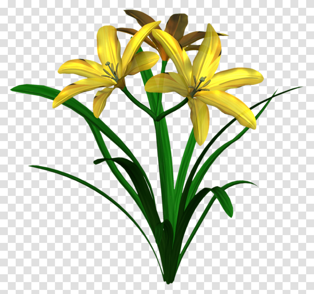 Jungle Flower Clip Art, Plant, Blossom, Lily, Amaryllidaceae Transparent Png