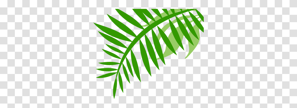 Jungle, Green, Leaf, Plant, Fern Transparent Png