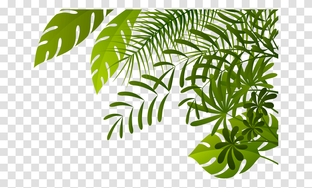 Jungle Image Jungle, Plant, Leaf, Fern, Green Transparent Png