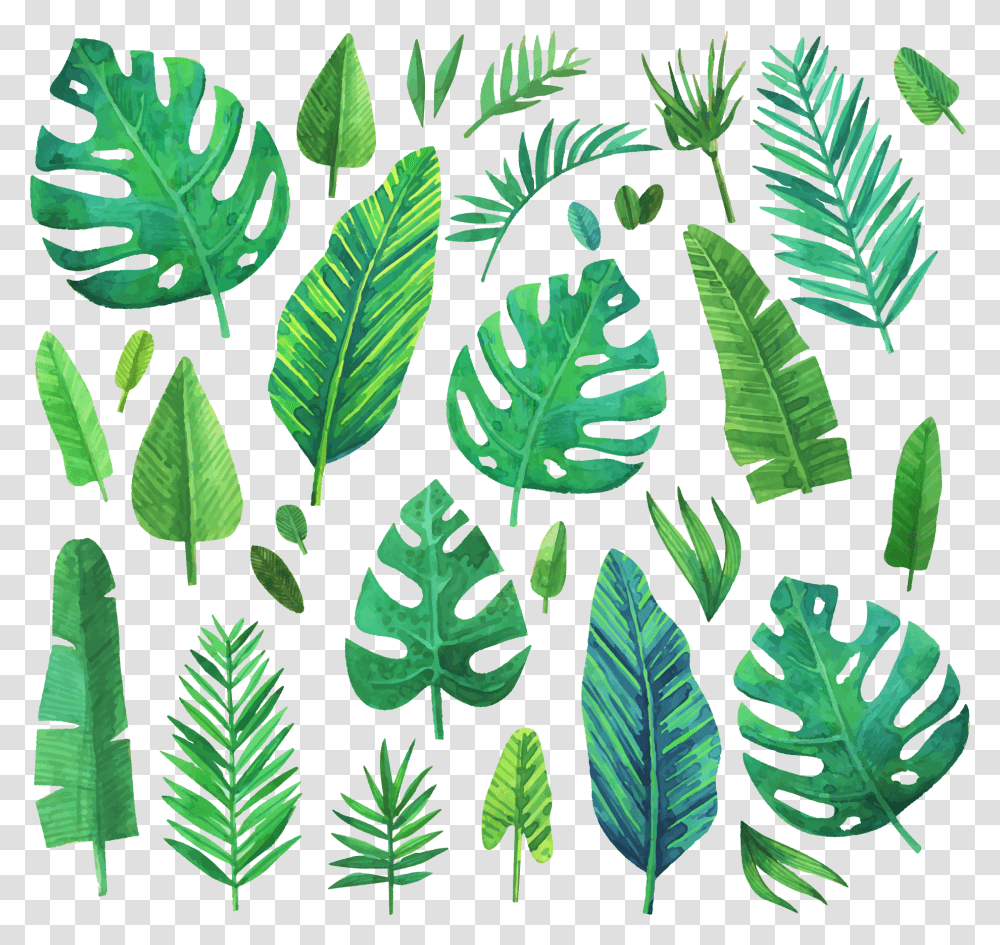 Jungle Jungleleaf Jungleleaves Leaf Leaves Green Watercolor Jungle Plant, Pineapple, Fruit, Food, Fern Transparent Png