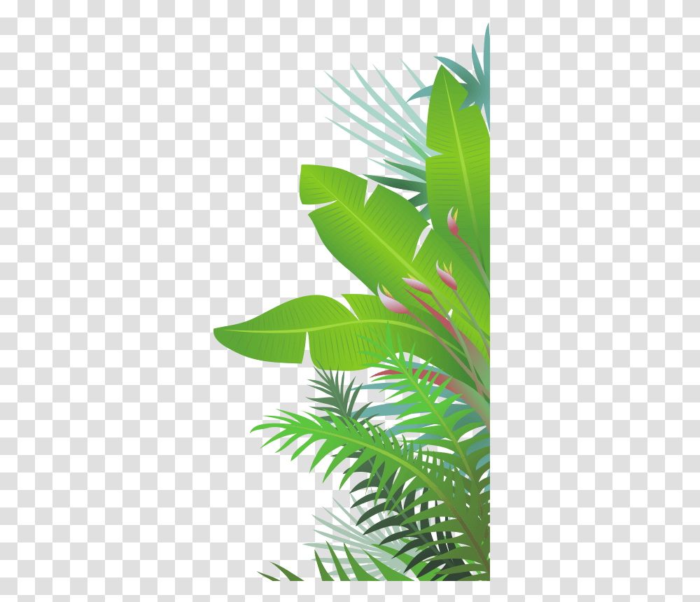 Jungle Leaf, Plant, Green, Flower, Blossom Transparent Png