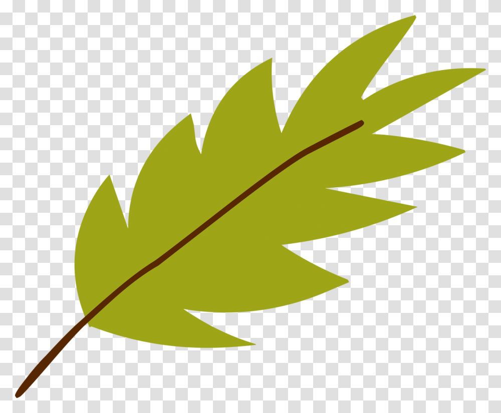 Jungle Leaf, Plant, Maple Leaf, Bird, Animal Transparent Png