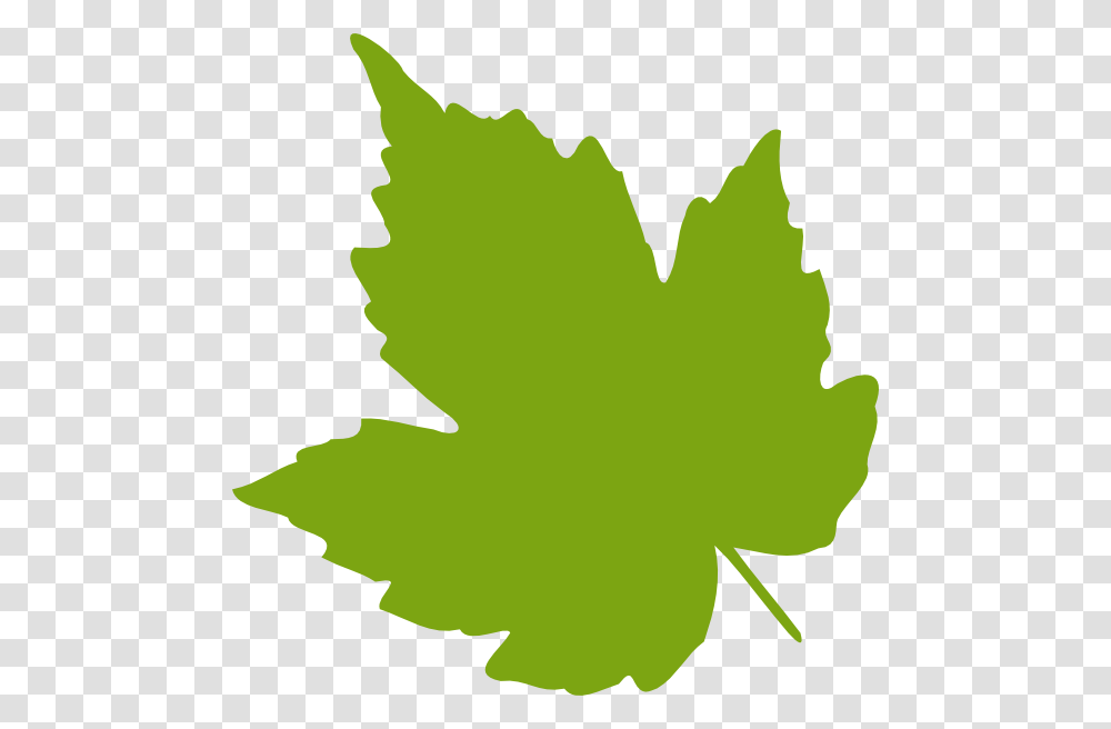 Jungle Leaves Clip Art, Leaf, Plant, Maple Leaf Transparent Png