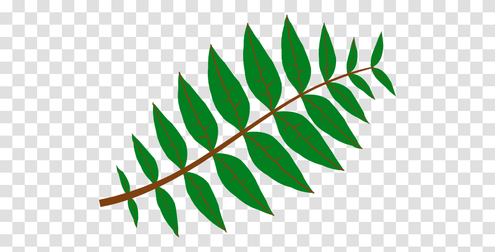 Jungle Leaves Clip Art Leaves Clip Art Art And Leaves, Leaf, Plant, Fern Transparent Png