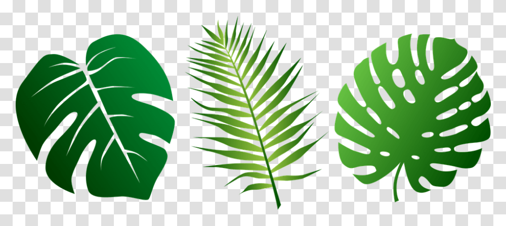 Jungle Leaves Clipart Jungle Leaf, Green, Plant, Vegetation, Tree Transparent Png