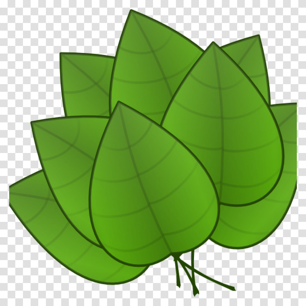 Jungle Leaves Clipart Jungle Leaves Clipart Free Jungle Parts Of The Plants Leaf, Lamp, Green, Veins, Moss Transparent Png