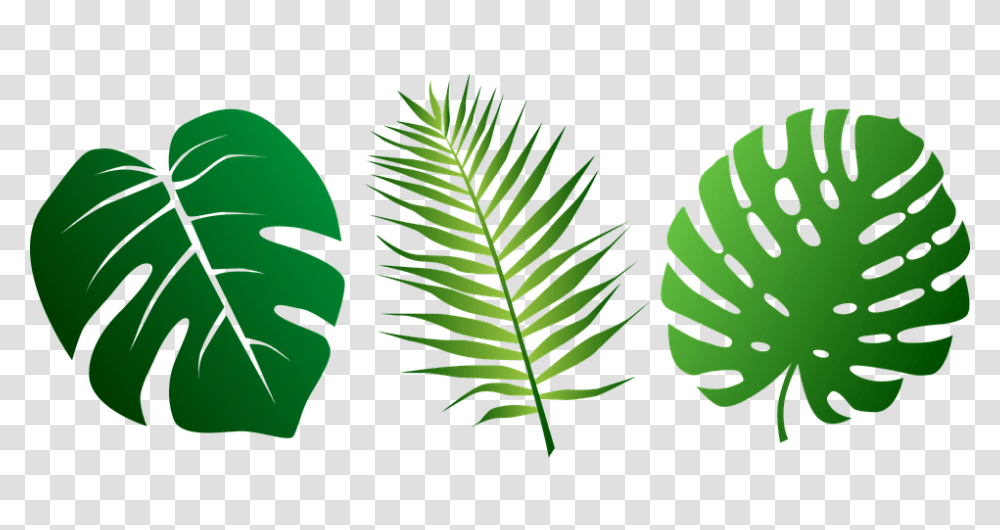 Jungle Leaves Vector Jungle Leaf Clipart, Plant, Green, Fern, Vegetation Transparent Png
