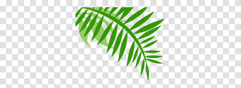 Jungle Plant Clipart Free Clipart, Leaf, Fern, Green Transparent Png