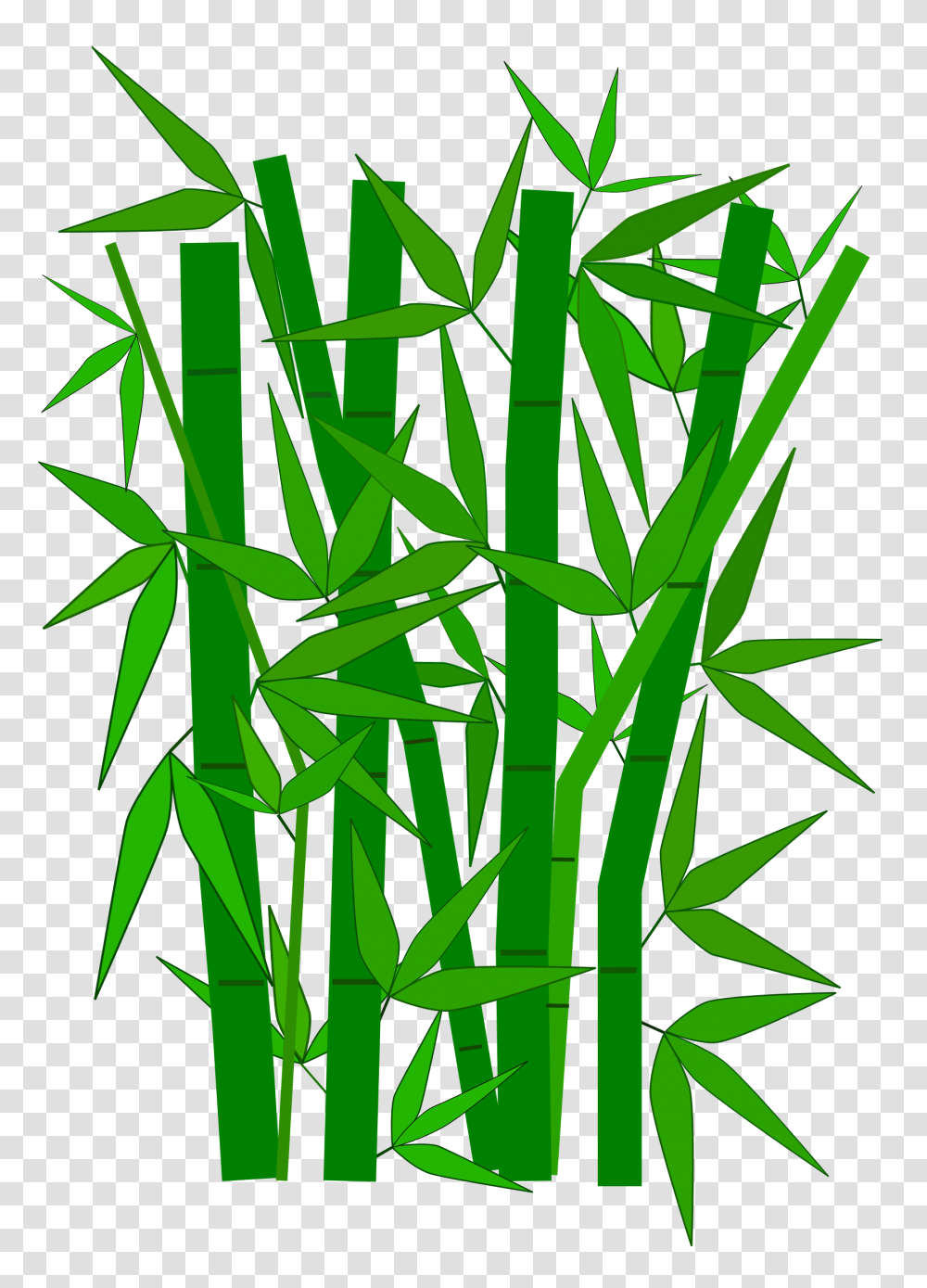 Jungle Tree Clipart Clipartmonk Free Clip Art Images Bamboo Tree Clipart, Plant Transparent Png