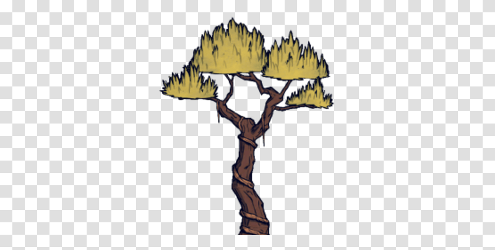 Jungle Tree Don T Starve Jungle Tree, Person, Flare, Light, Symbol Transparent Png