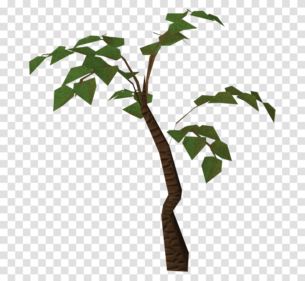 Jungle Tree Hd, Plant, Palm Tree, Arecaceae, Tree Trunk Transparent Png