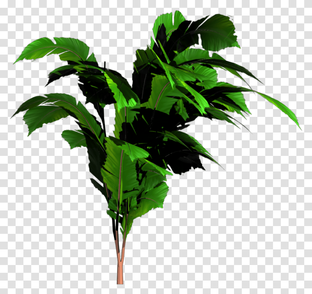 Jungle Tree Image Bannana Tree, Leaf, Plant, Green, Vegetation Transparent Png