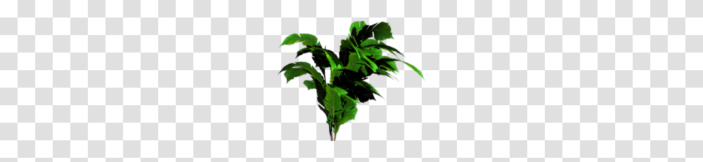 Jungle Tree Image, Plant, Leaf, Vase, Jar Transparent Png