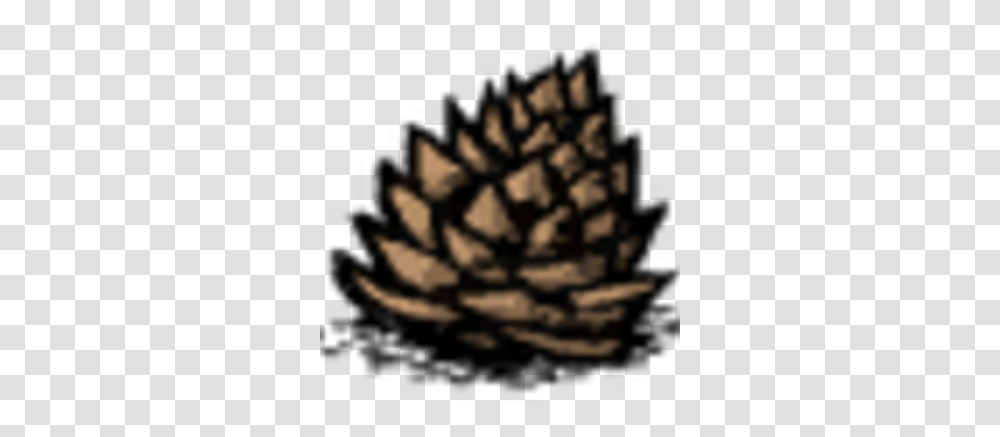 Jungle Tree Seed Don't Starve Game Wiki Fandom Illustration, Diamond, Accessories, Nature, Outdoors Transparent Png