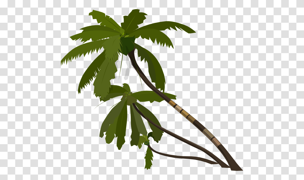 Jungle Tree Vector, Plant, Leaf, Palm Tree, Arecaceae Transparent Png