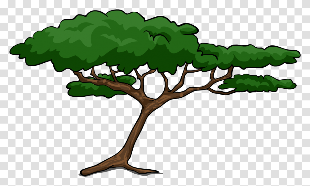 Jungle Trees Clipart Acacia Tree Clipart, Plant, Root, Tree Trunk, Oak Transparent Png