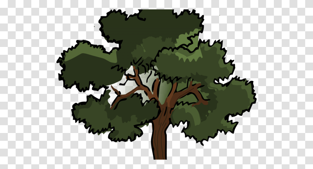 Jungle Trees Clipart Live Oak Tree Clipart, Plant, Vegetation, Tree Trunk, Land Transparent Png