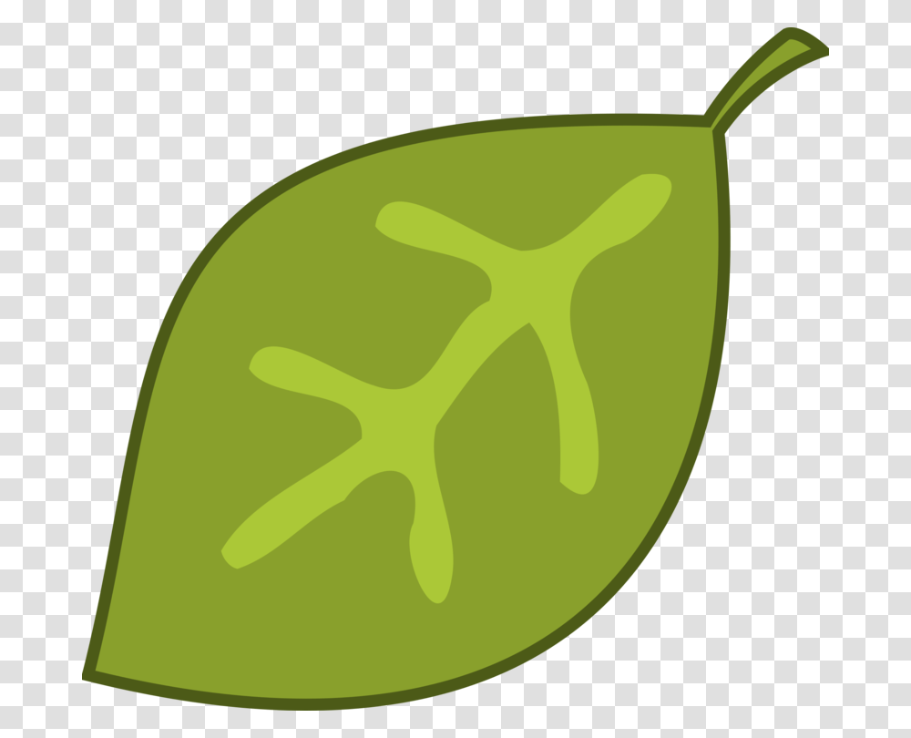Jungle Tropical Rainforest Leaf Document, Plant, Food, Vegetable, Pepper Transparent Png
