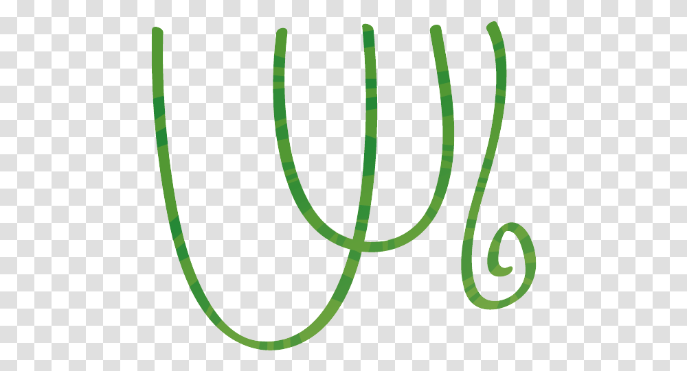 Jungle Vines Calligraphy, Plant, Pattern, Knot Transparent Png