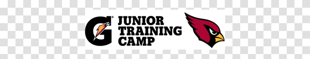 Junior Training Camp Arizona Cardinals, Word, Logo Transparent Png
