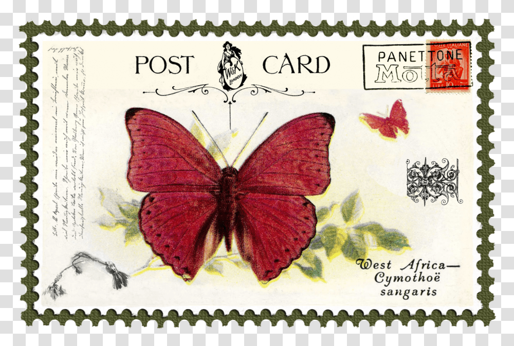 Juno Vintage Butterfly Postage Stamp 5 Mat Fauna Kupu Kupu Perangko Transparent Png