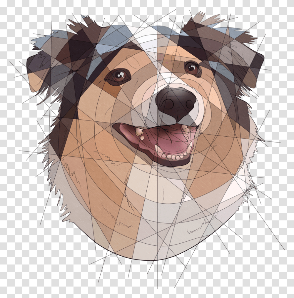 Junojots Won One Of The Buy One Get One Slots Here Shetland Sheepdog, Head, Mammal, Animal, Snout Transparent Png