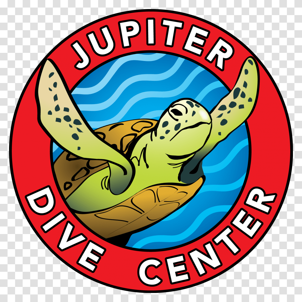 Jupiter Dive Center, Reptile, Animal, Tortoise, Turtle Transparent Png