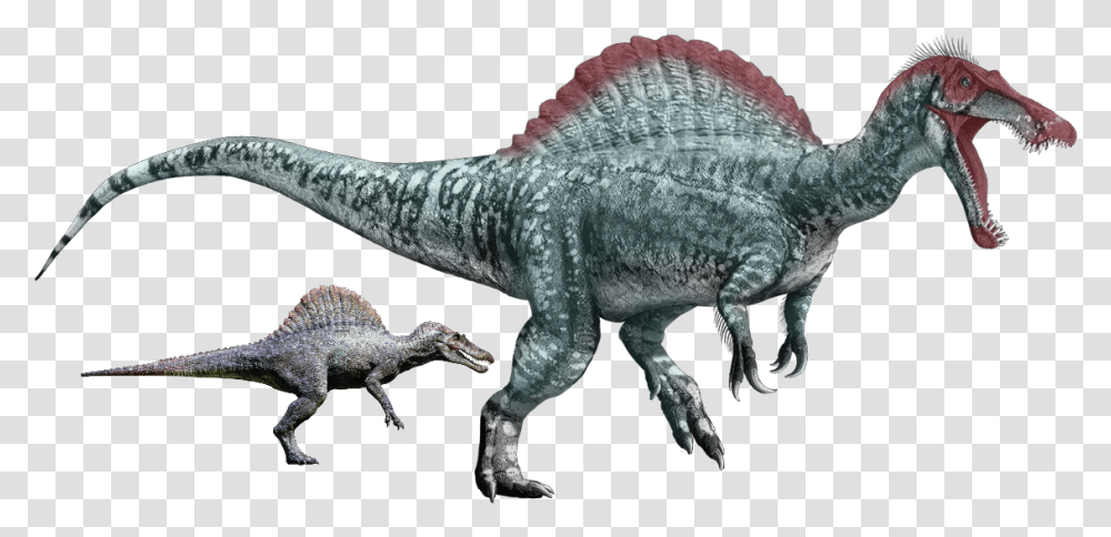 Juraasic Park 3 Female Spinosaurus Remake Jurassic World Website Baryonyx, Dinosaur, Reptile, Animal, T-Rex Transparent Png