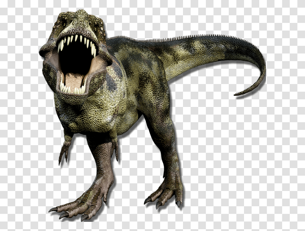 Jurassic Dinosaurs Jurassic Park Gorgosaurus Book, T-Rex, Reptile, Animal, Lizard Transparent Png