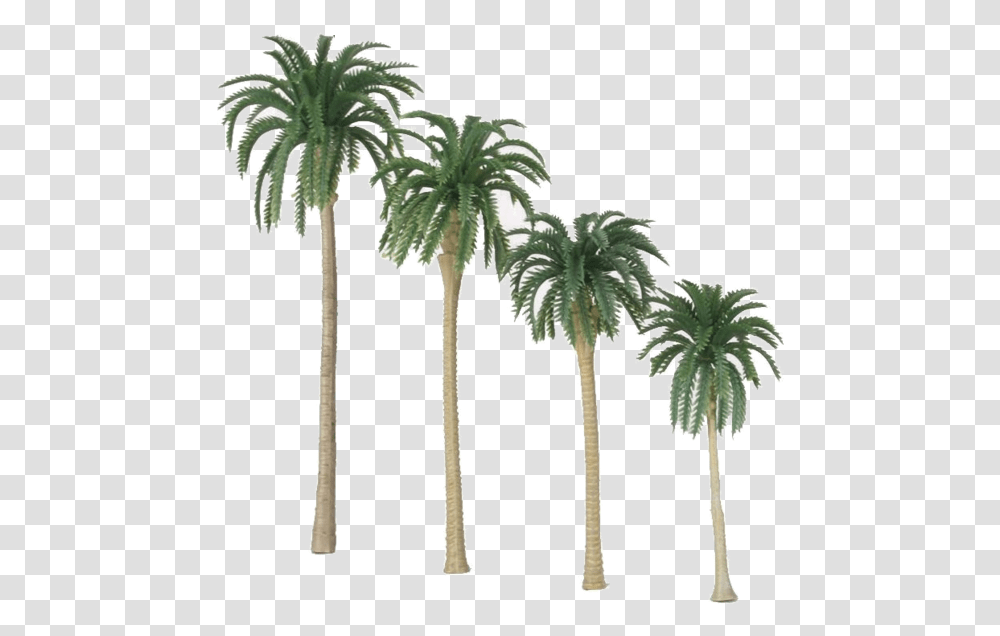 Jurassic Park Playfield Coconut Palm Trees Set Of 4 Congo Palm Tree, Plant, Arecaceae Transparent Png