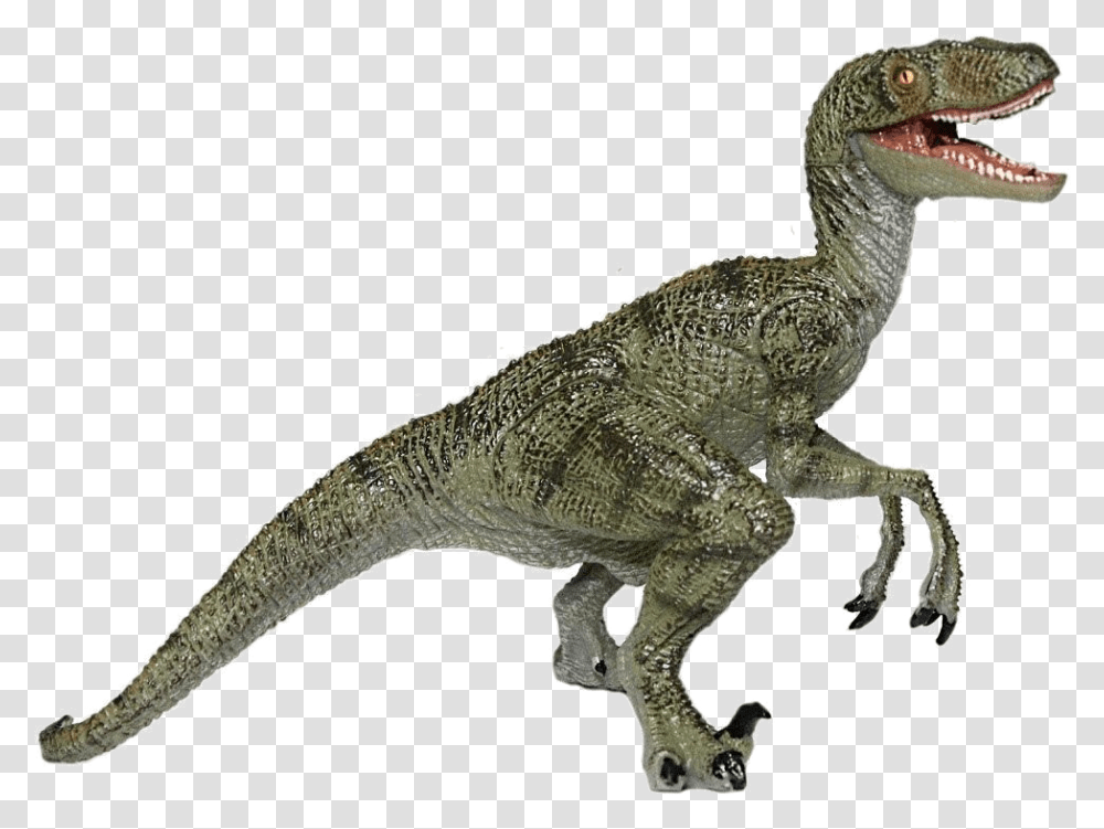 Jurassic Park Playfield Velociraptor Raptor Dinosaur Background, Lizard, Reptile, Animal, T-Rex Transparent Png