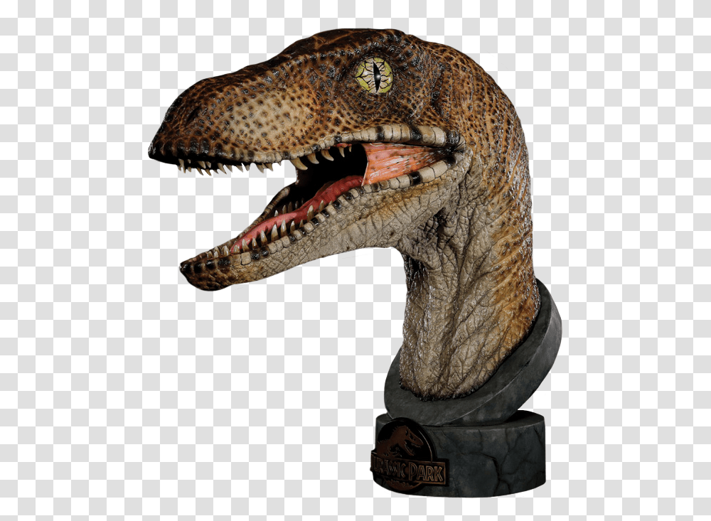 Jurassic Park Raptor 1, Dinosaur, Reptile, Animal, T-Rex Transparent Png