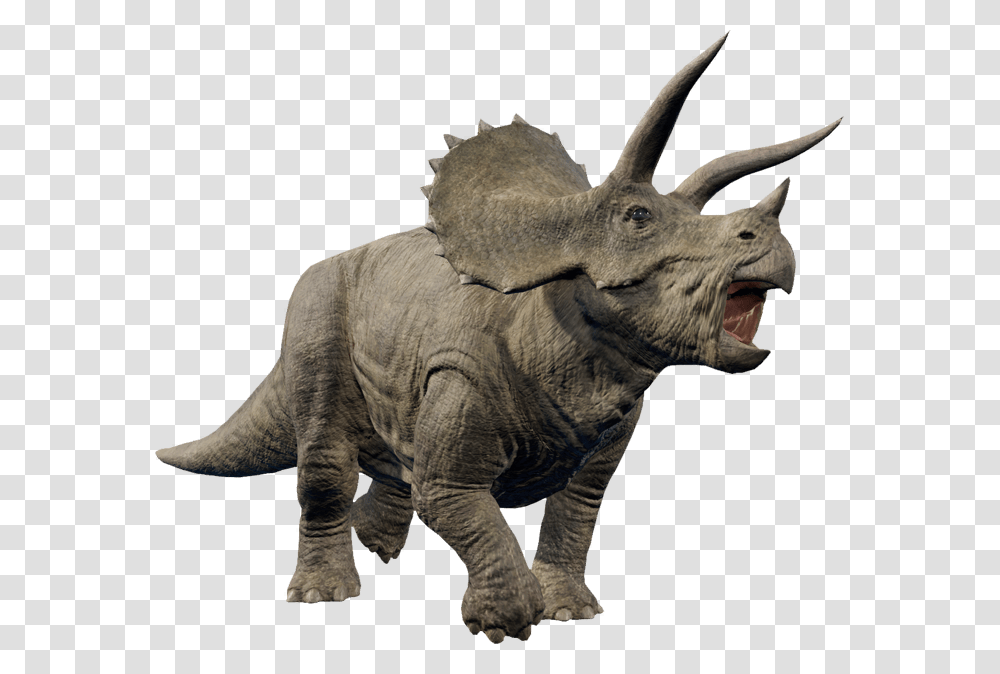 Jurassic Park Triceratops, Dinosaur, Reptile, Animal, T-Rex Transparent Png