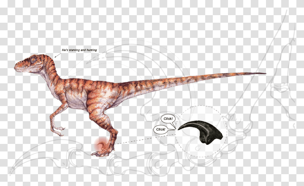 Jurassic Park Velociraptor Concept Art, Dinosaur, Reptile, Animal, T-Rex Transparent Png