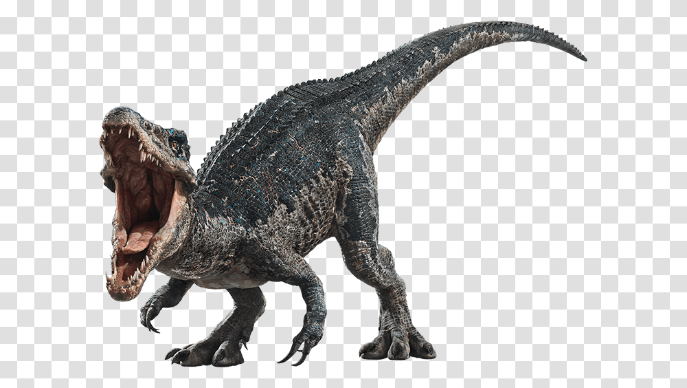 Jurassic Park Wiki Jurassic World Dinosaurs Baryonyx, T-Rex, Reptile, Animal Transparent Png