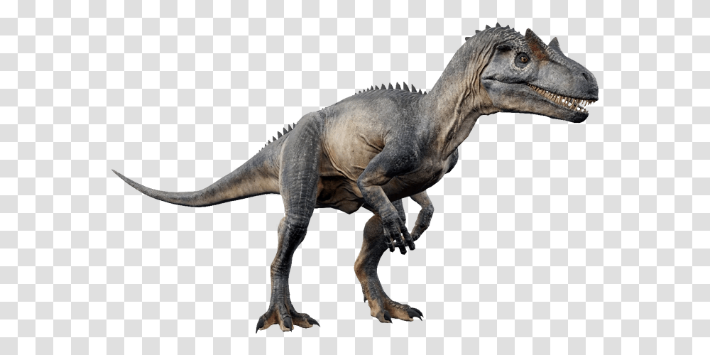 Jurassic World Allosaurus, Dinosaur, Reptile, Animal, T-Rex Transparent Png