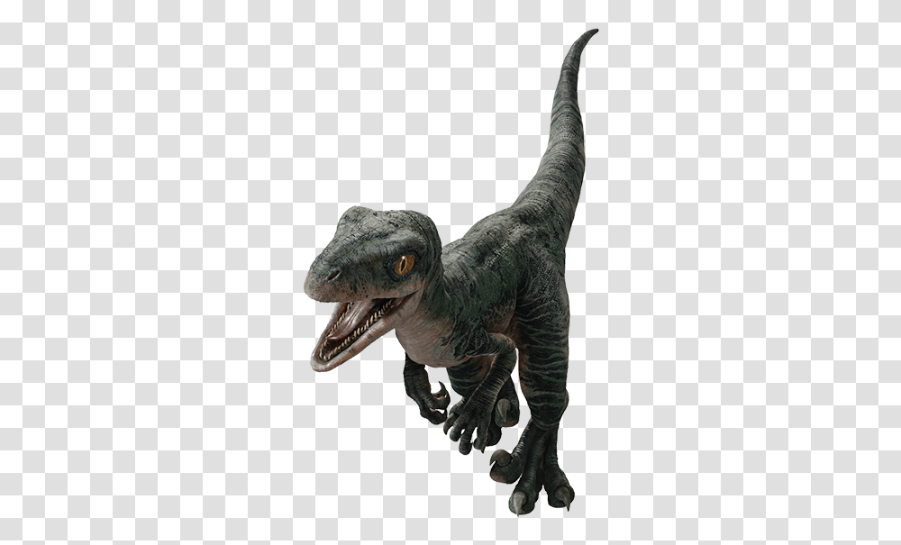 Jurassic World Baby Delta, T-Rex, Dinosaur, Reptile, Animal Transparent Png