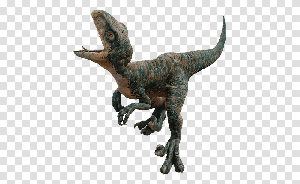 Jurassic World Baby Echo, T-Rex, Dinosaur, Reptile, Animal Transparent Png