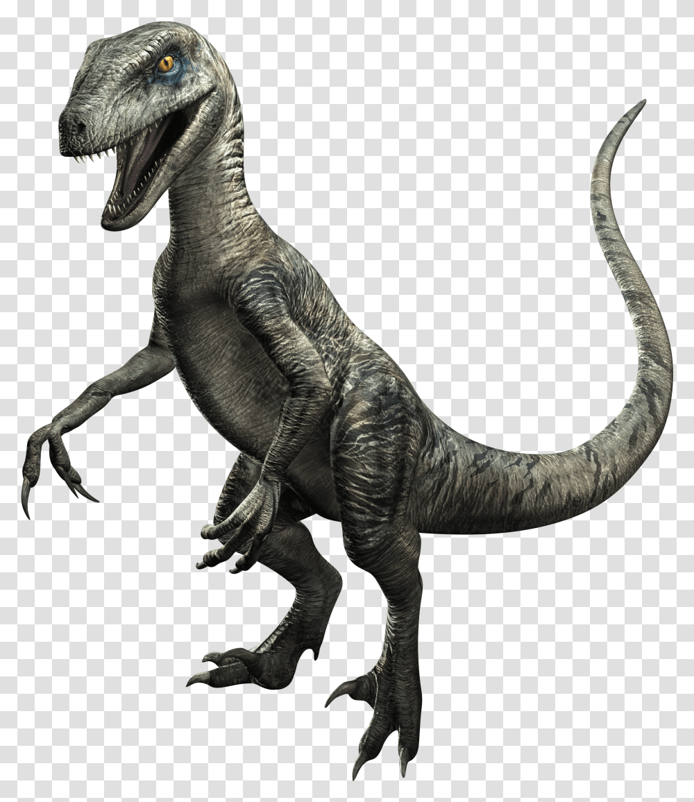 Jurassic World Dinosaur Delta, Reptile, Animal, T-Rex, Lizard Transparent Png