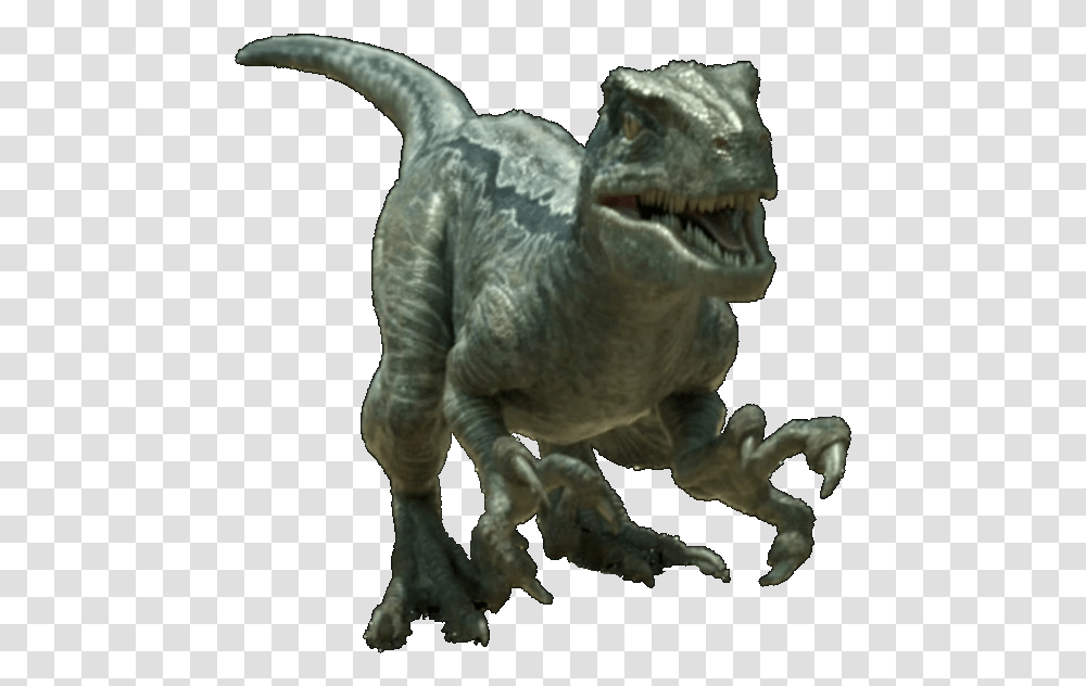 Jurassic World, Dinosaur, Reptile, Animal, T-Rex Transparent Png