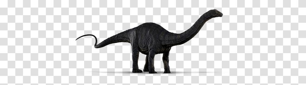 Jurassic World, Dinosaur, Reptile, Animal, T-Rex Transparent Png