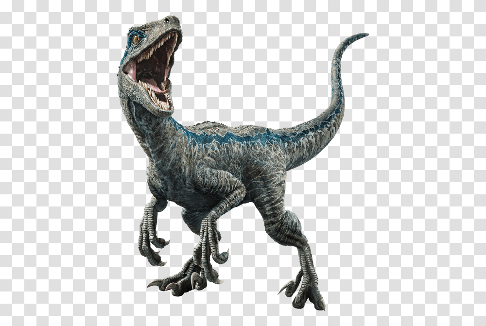 Jurassic World Dinosaurs Blue, Reptile, Animal, T-Rex, Lizard Transparent Png