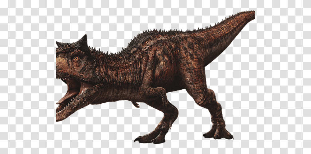 Jurassic World Dinosaurs Carnotaurus, T-Rex, Reptile, Animal, Lizard Transparent Png