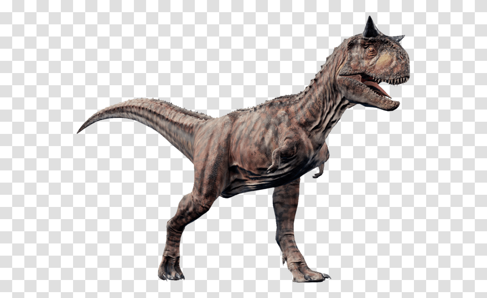 Jurassic World Evolution Carnotaurus, Dinosaur, Reptile, Animal, T-Rex Transparent Png