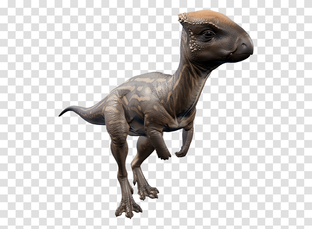 Jurassic World Evolution Dinosaurs Herbivore, Reptile, Animal, T-Rex Transparent Png